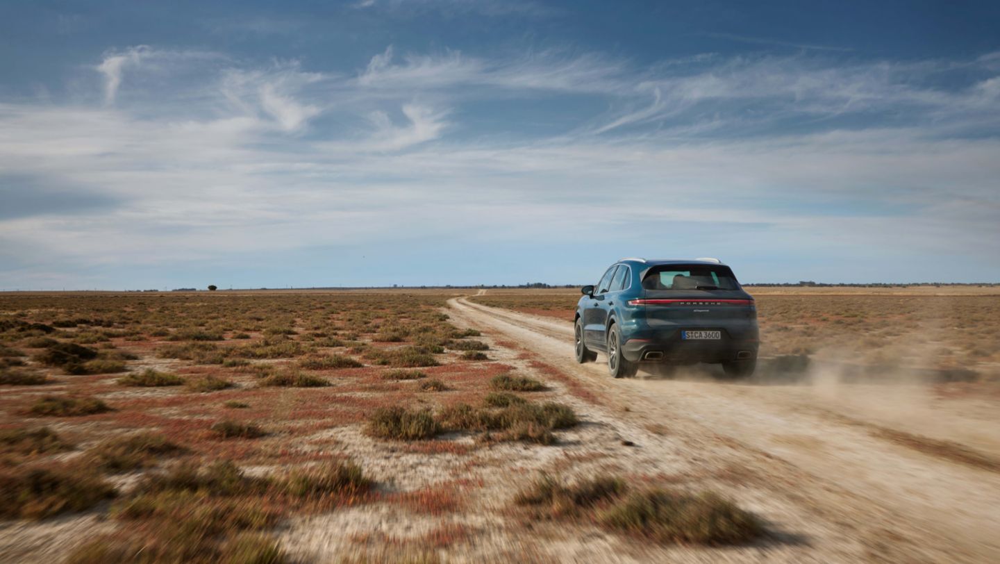 Porsche Cayenne photo 10