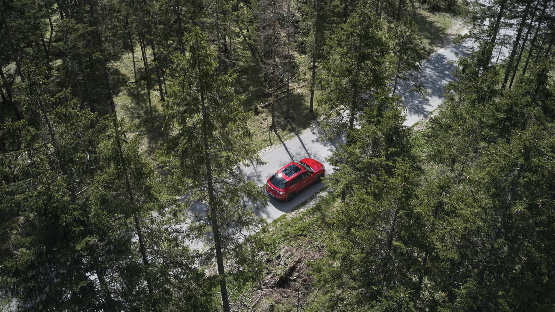 Porsche Macan Gts photo 17