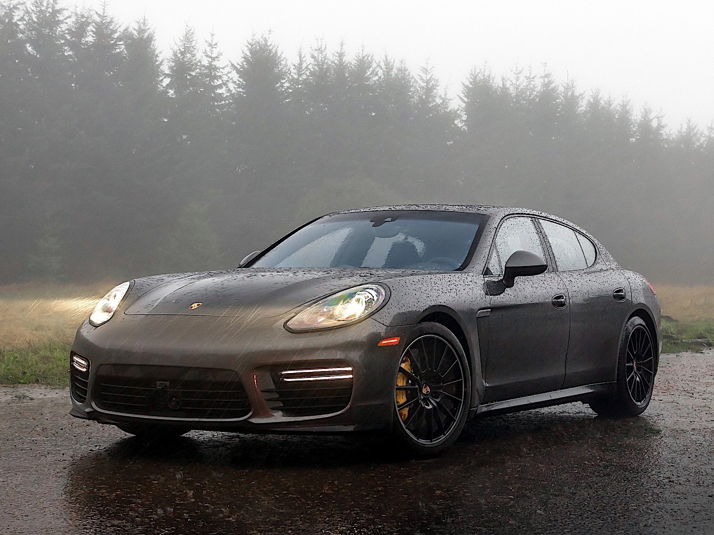 Porsche Panamera Gts photo 3