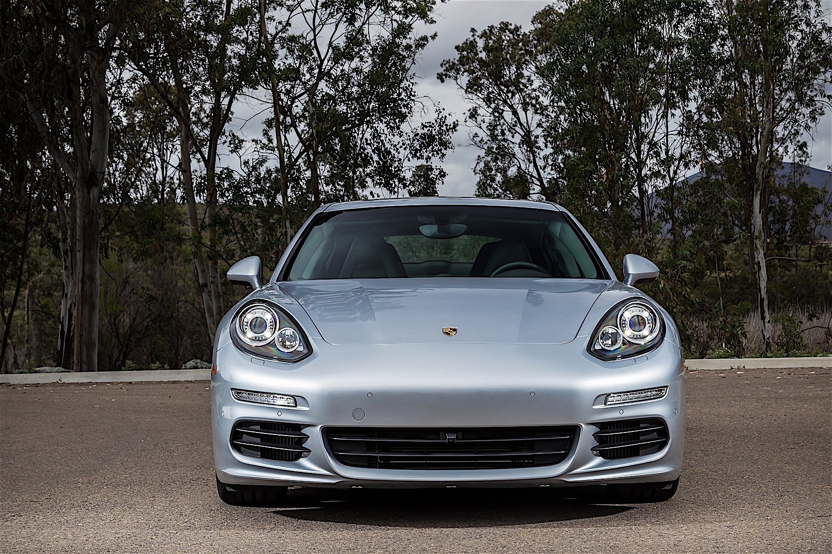 Porsche Panamera S photo 4