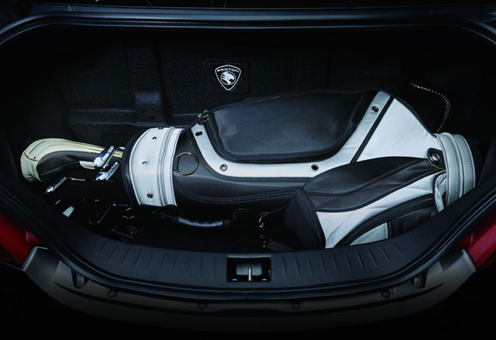 Proton Persona photo 10