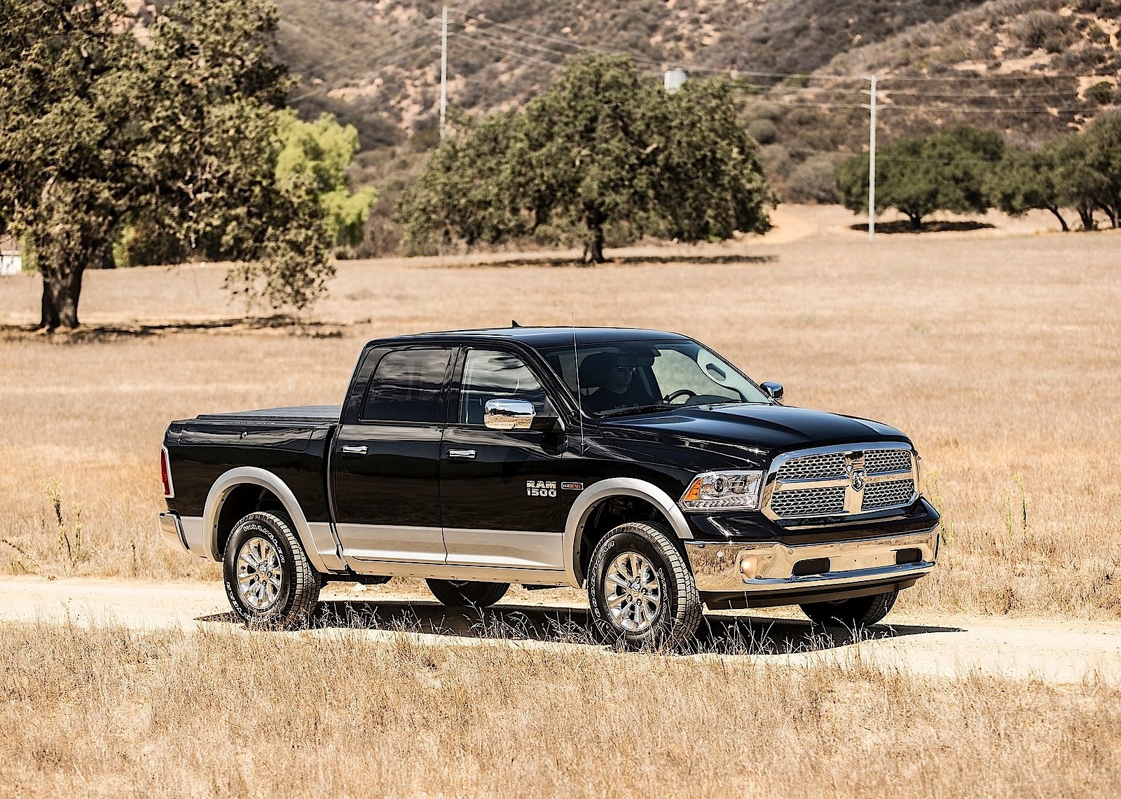 Ram Trucks 1500 photo 17