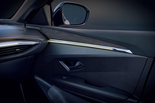Renault Megane E-Tech photo 87