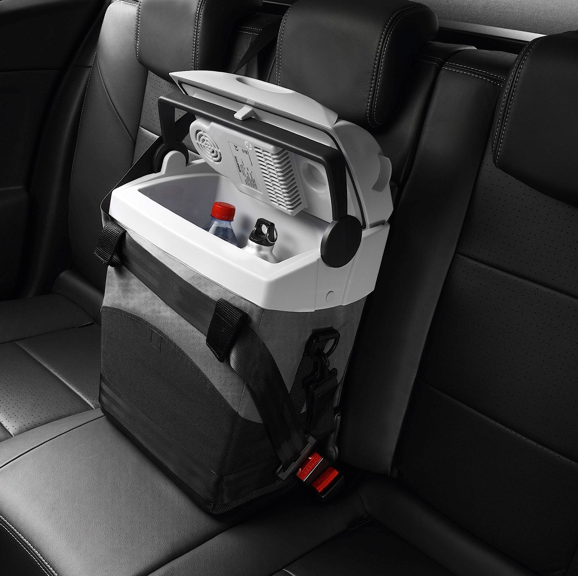 Renault Megane Estate photo 65