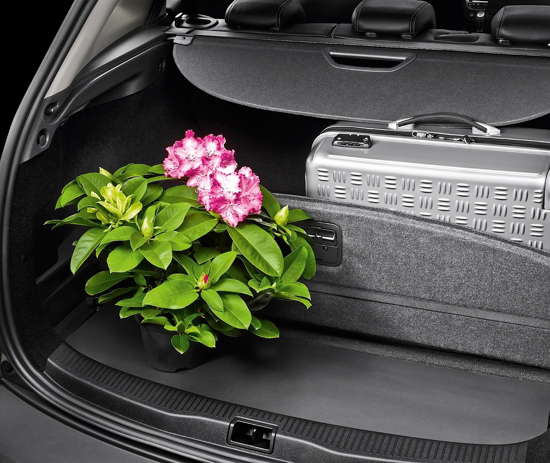 Renault Megane Estate photo 74