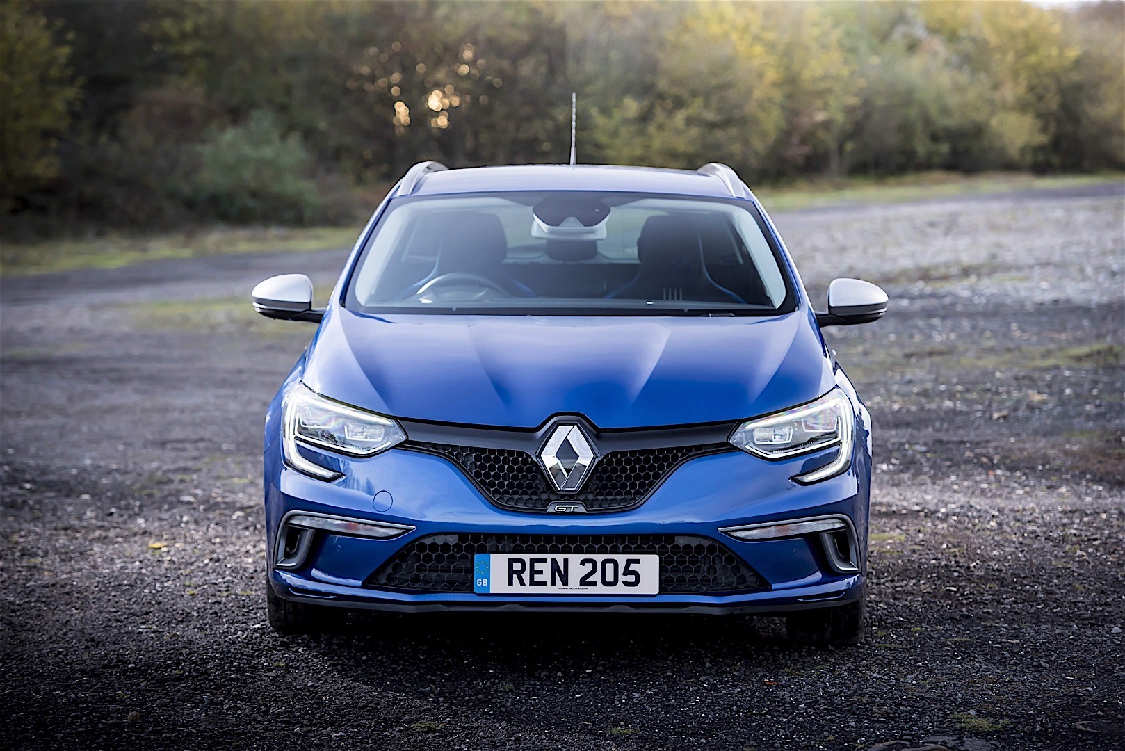 Renault Megane Estate photo 42