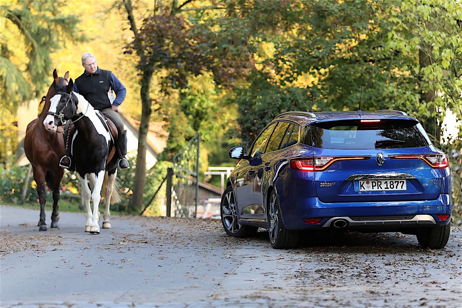 Renault Megane Estate photo 46