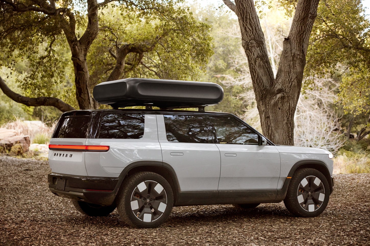 Rivian R2 photo 10
