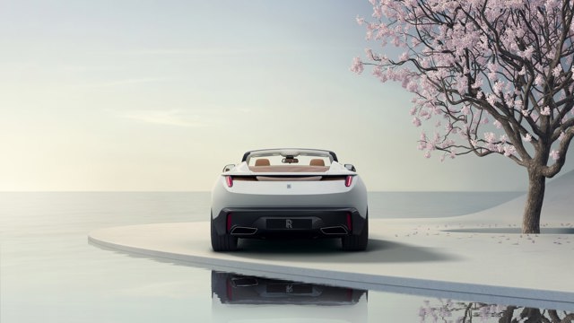 Rolls-Royce Arcadia photo 6