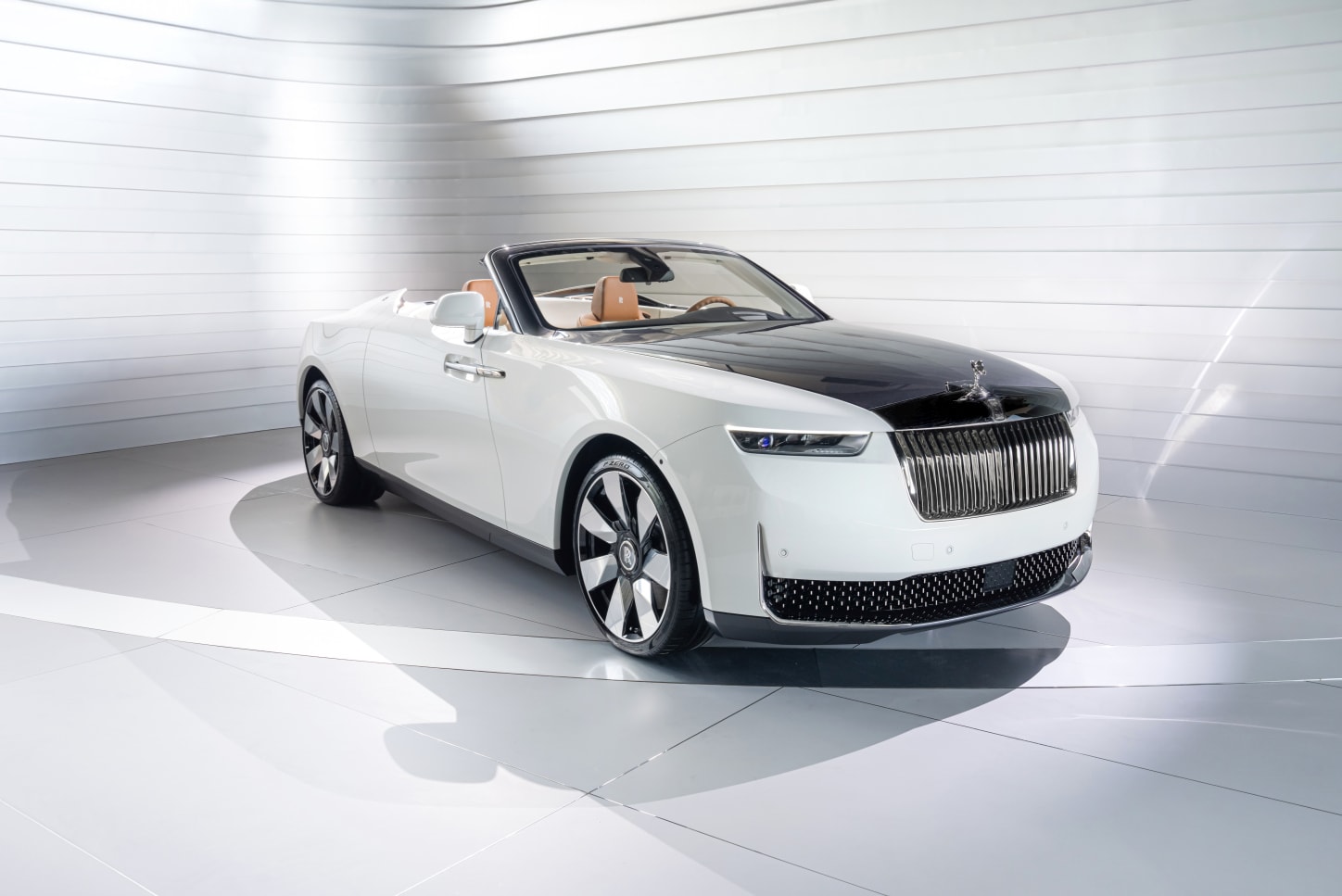 Rolls-Royce Arcadia photo 14