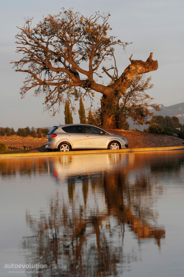 Seat Altea photo 7