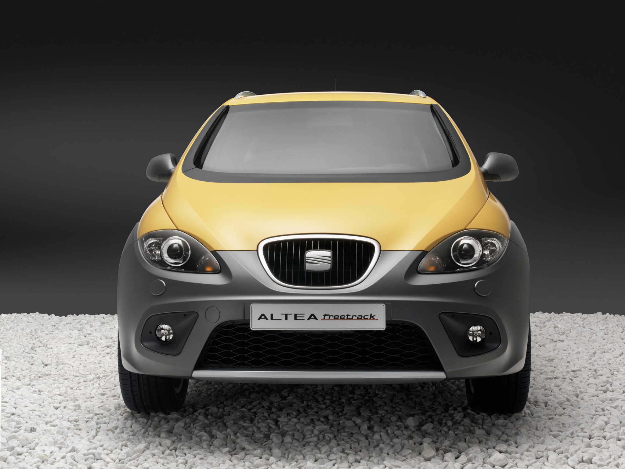 Seat Altea photo 31