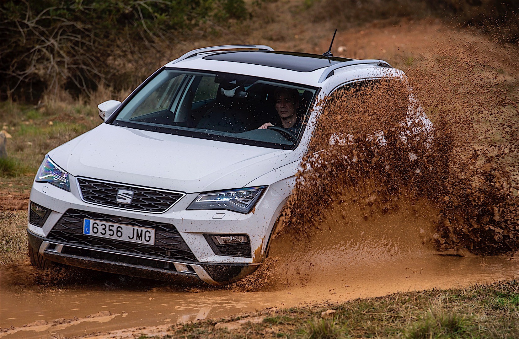 Seat Ateca photo 11