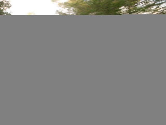 Seat Exeo photo 70