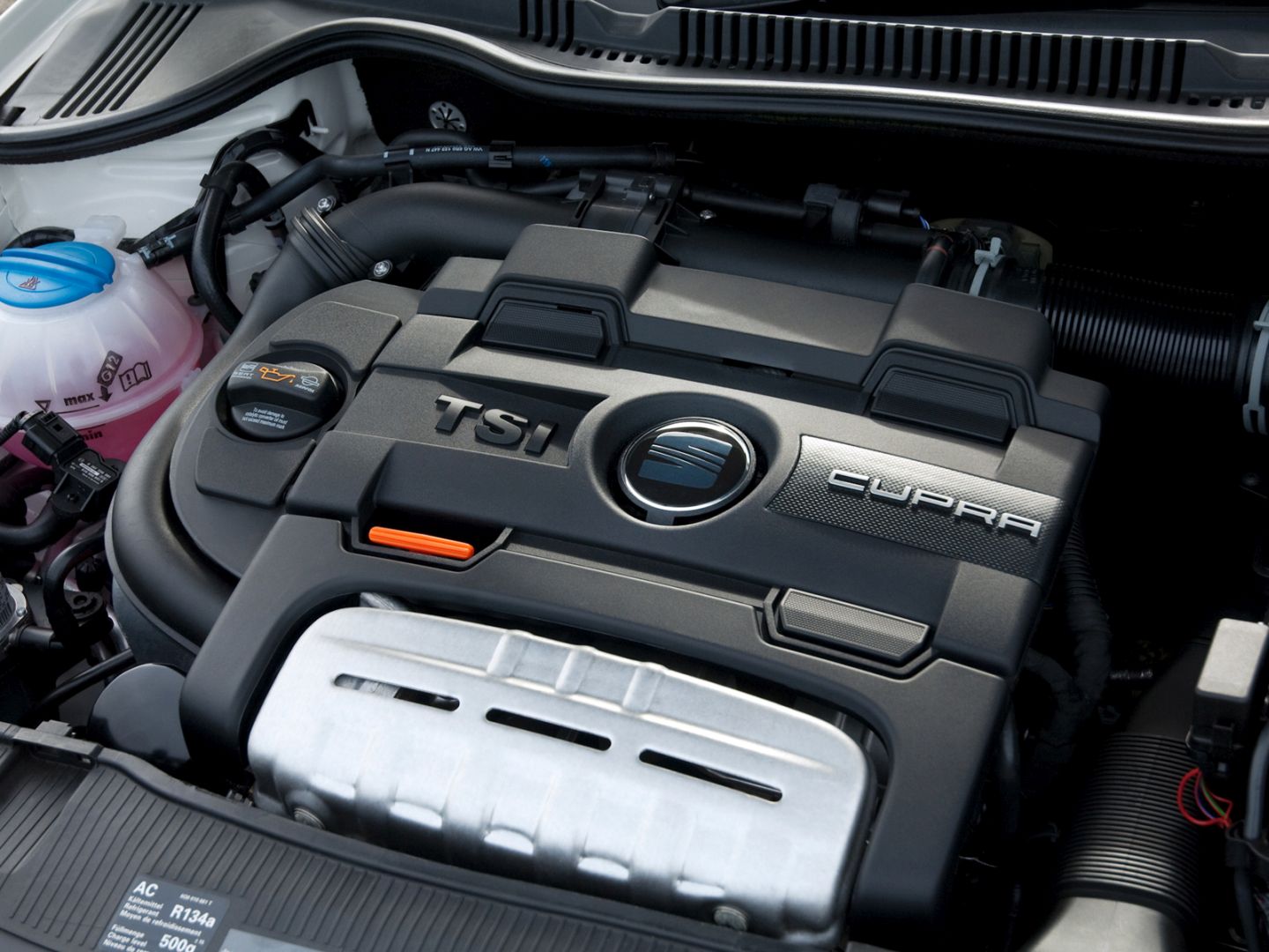 Seat Ibiza Bocanegra photo 45