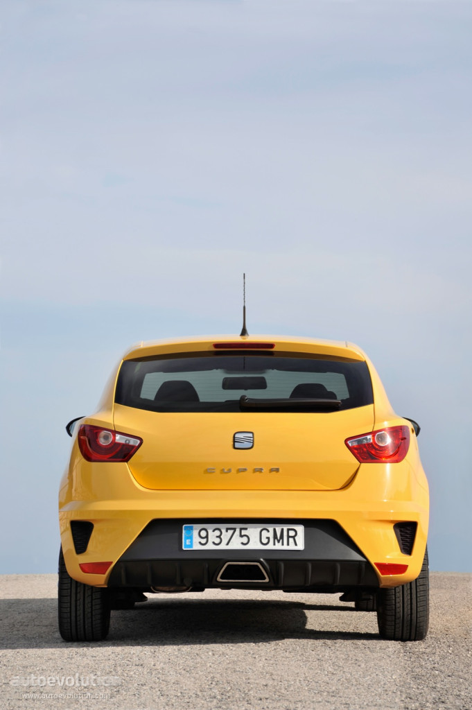 Seat Ibiza Cupra photo 11