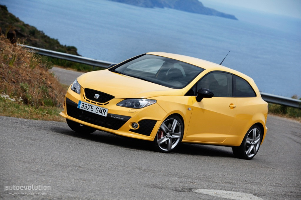 Seat Ibiza Cupra photo 12