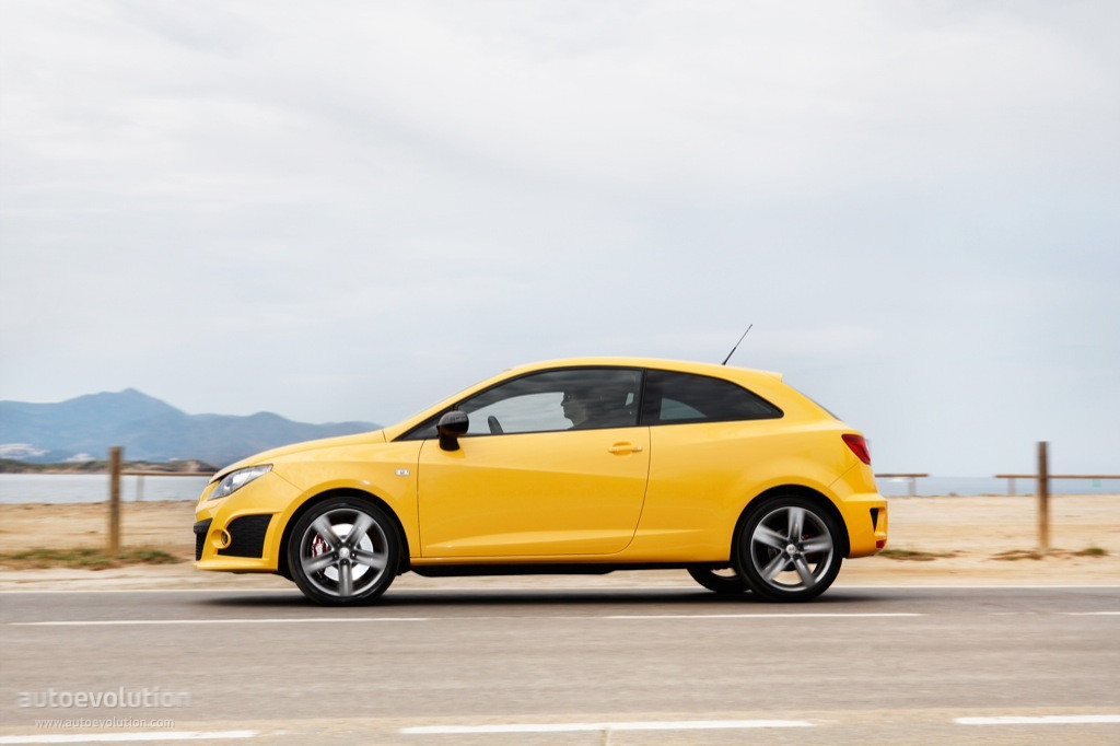 Seat Ibiza Cupra photo 17