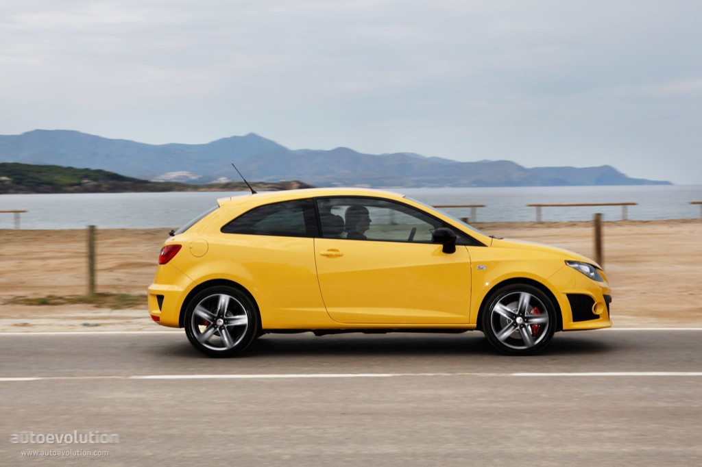 Seat Ibiza Cupra photo 18