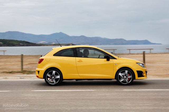 Seat Ibiza Cupra photo 18