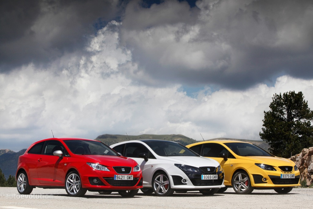 Seat Ibiza Cupra photo 20
