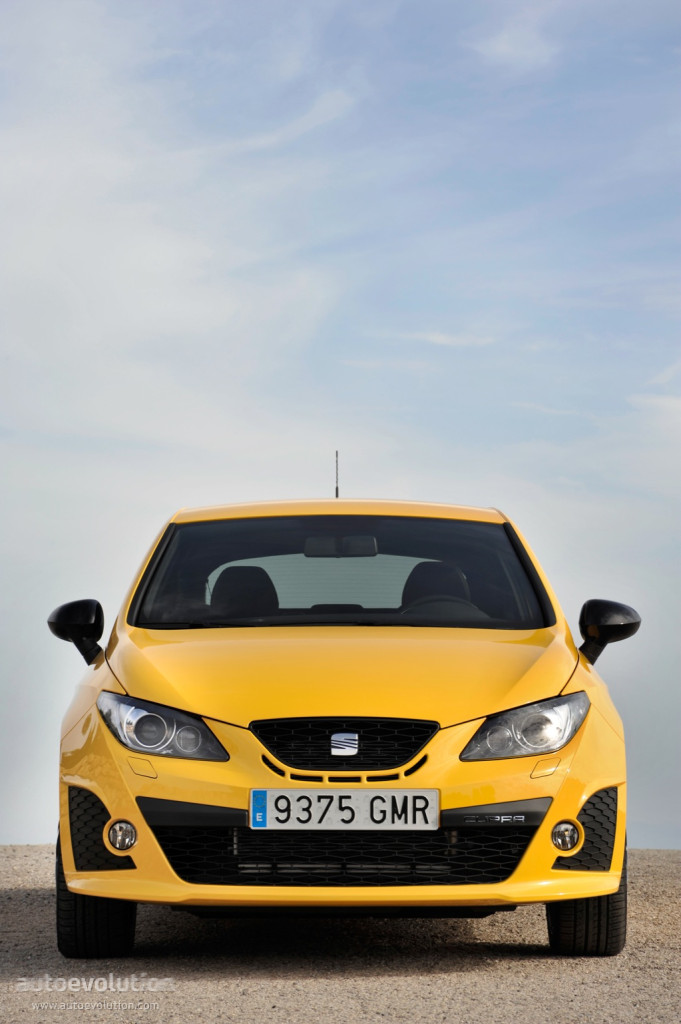 Seat Ibiza Cupra photo 5