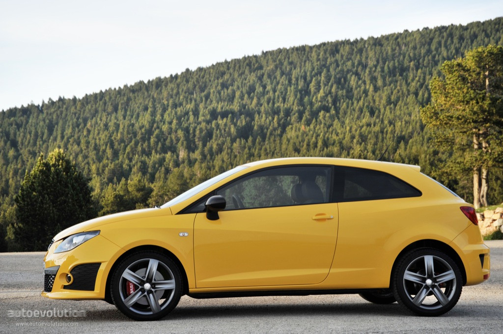 Seat Ibiza Cupra photo 6