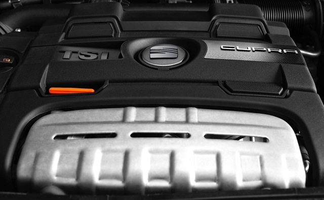 Seat Ibiza Cupra Foto 51