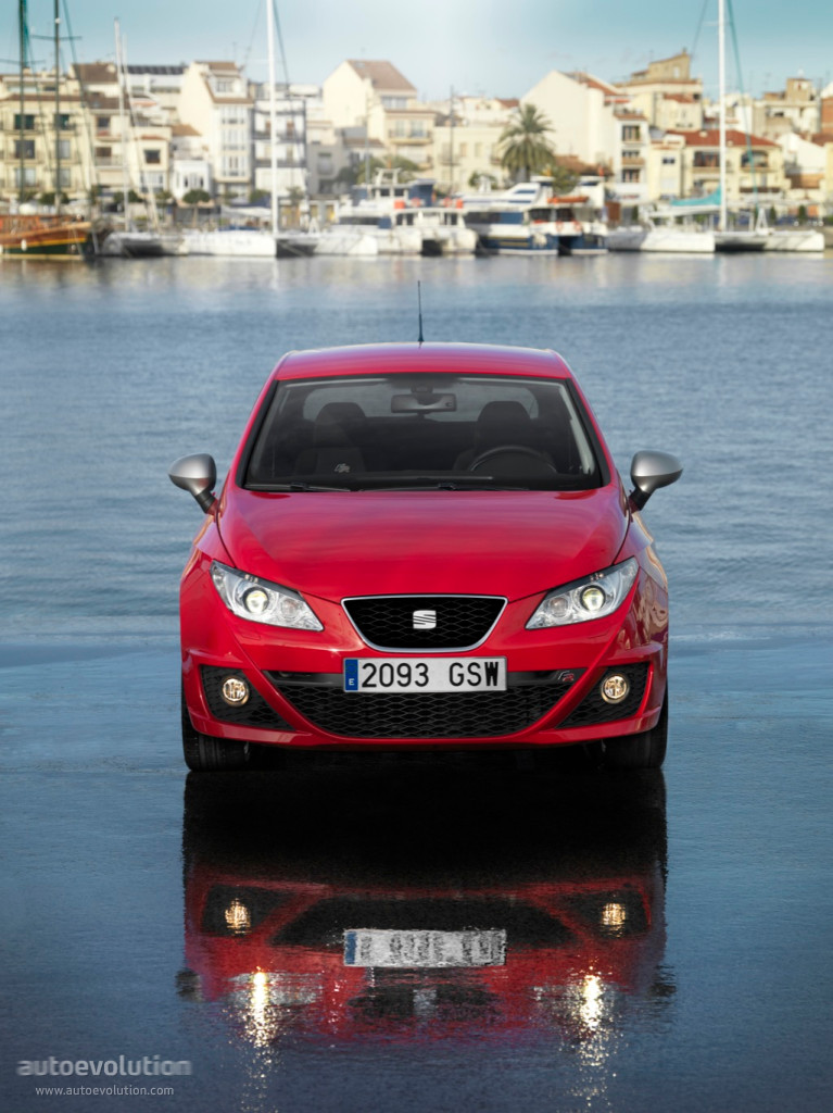 Seat Ibiza Fr photo 11