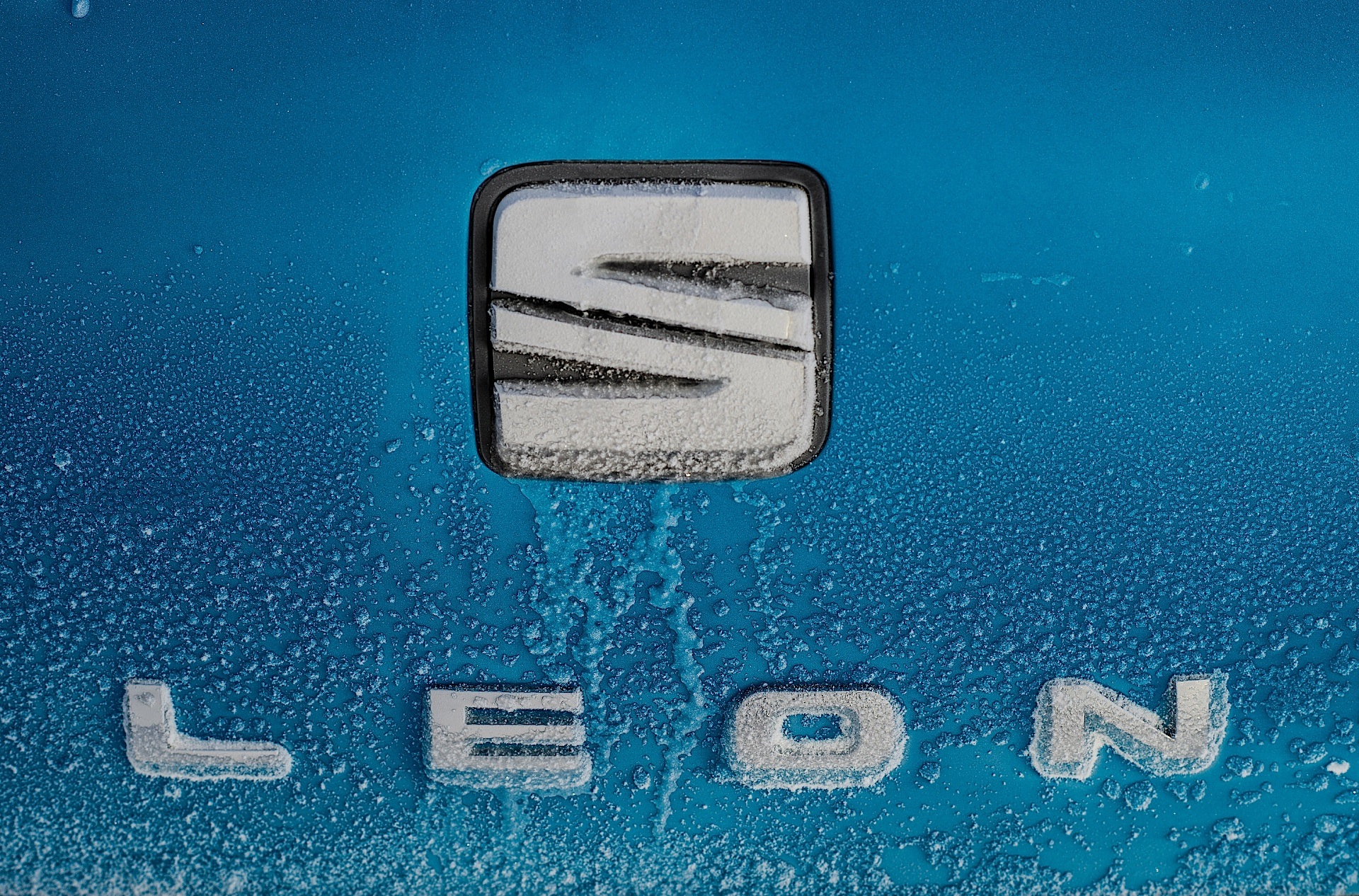 Seat Leon Sc photo 19