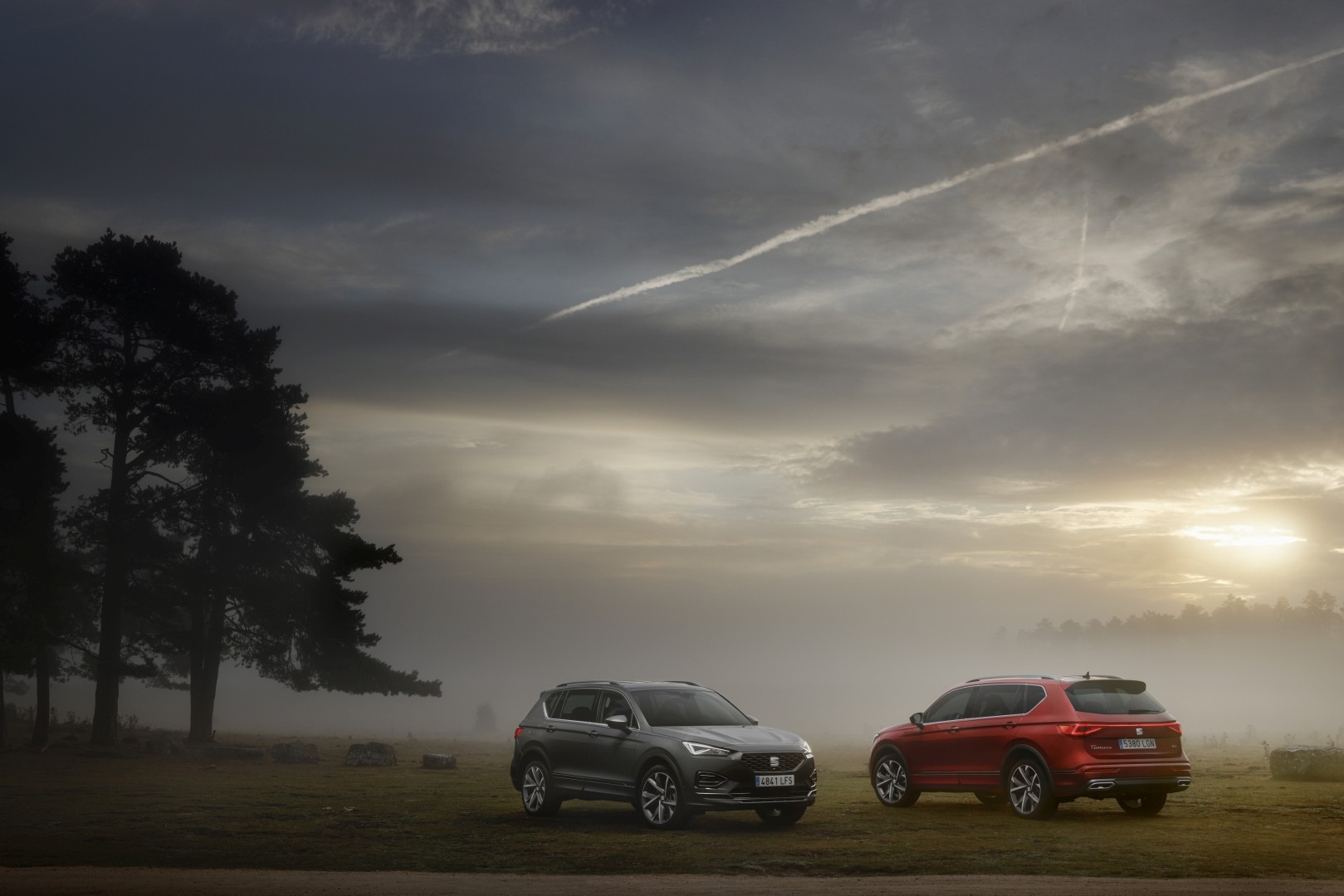 Seat Tarraco photo 29