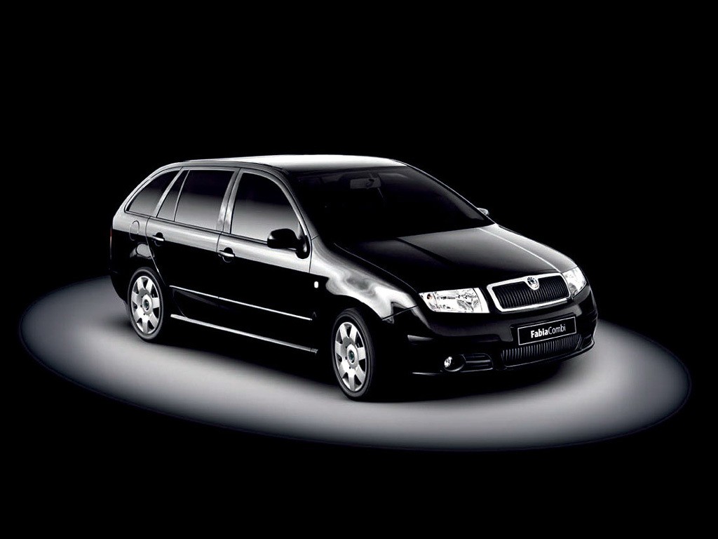 Skoda Fabia Combi photo 22