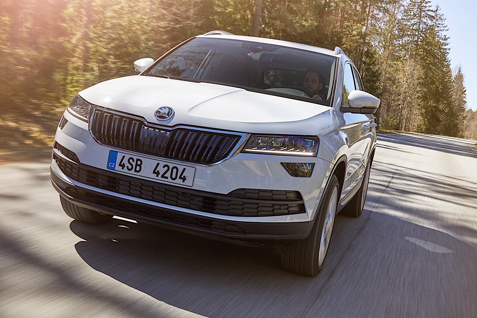 Skoda Karoq photo 10