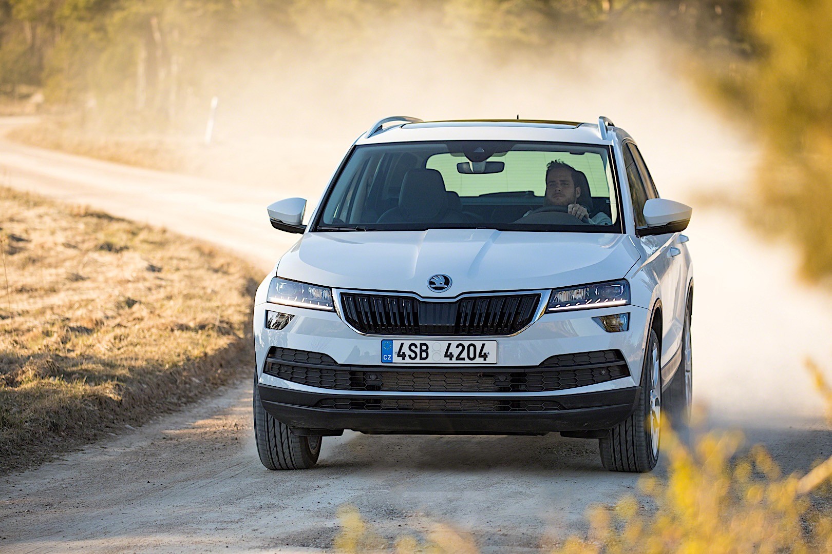 Skoda Karoq photo 13