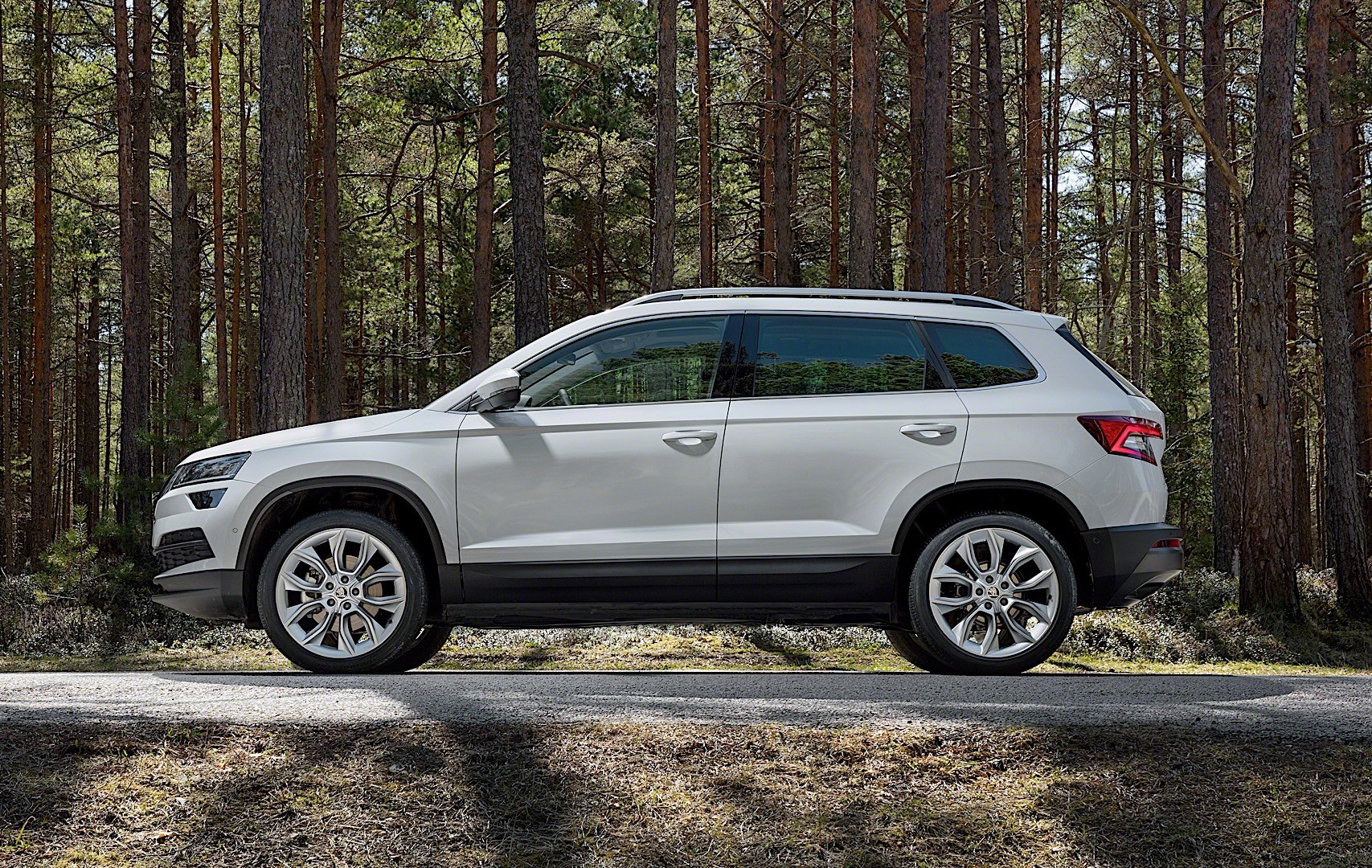 Skoda Karoq photo 14