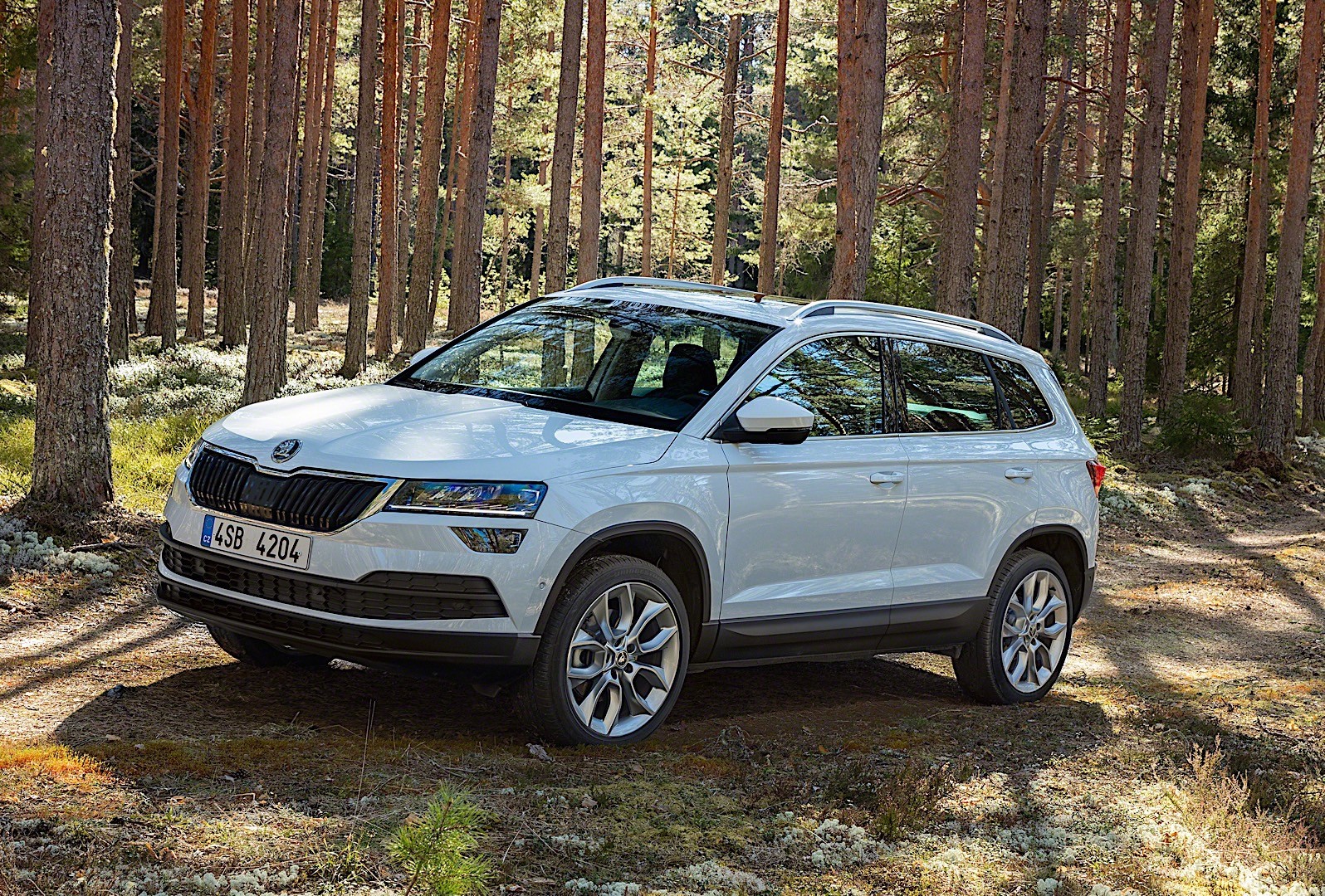 Skoda Karoq photo 28