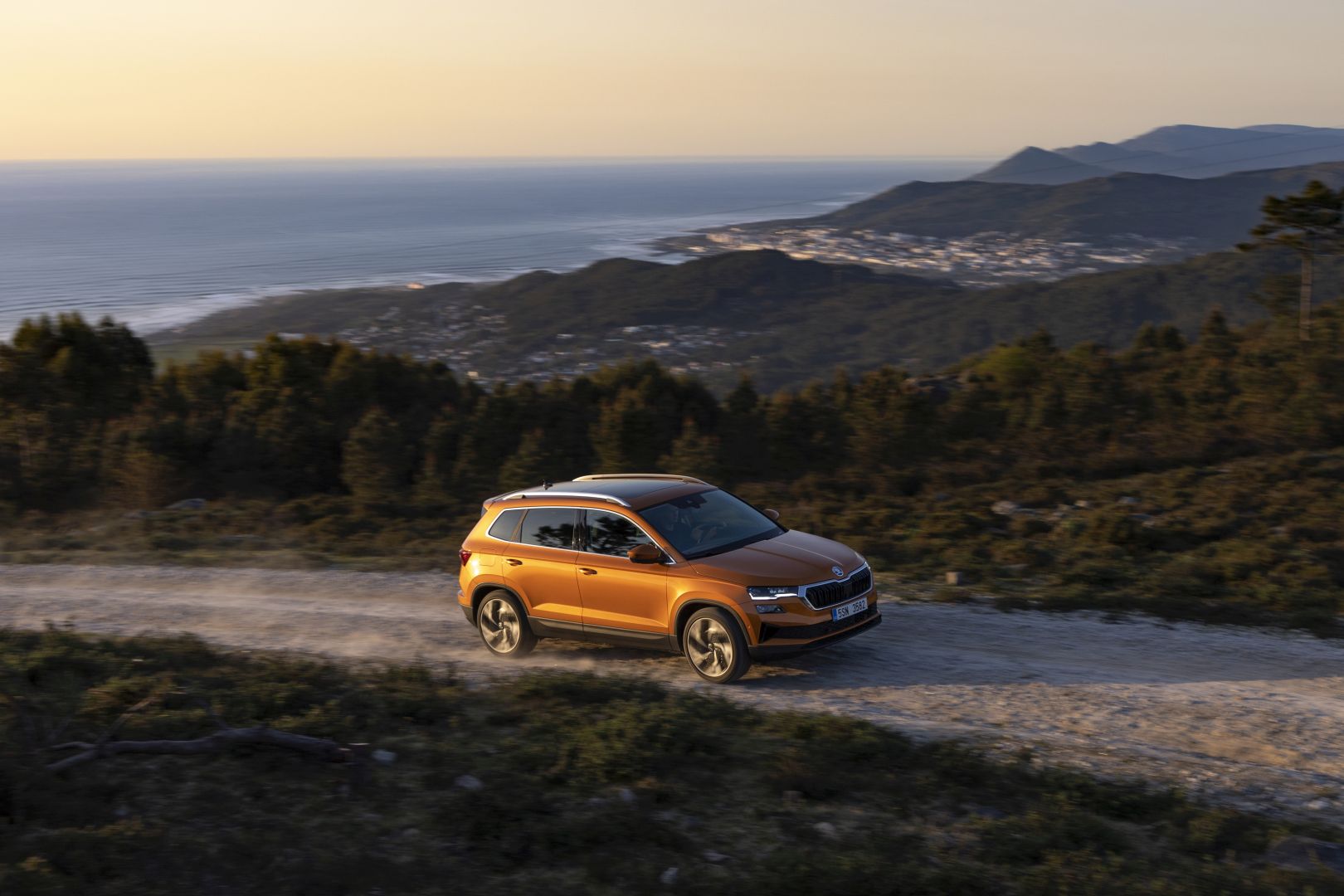 Skoda Karoq photo 83