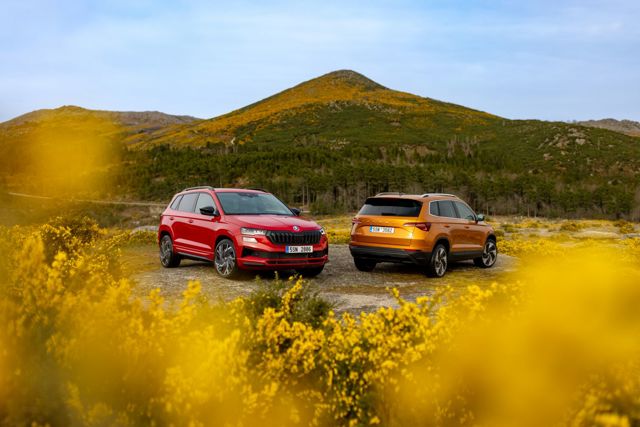 Skoda Karoq foto 33