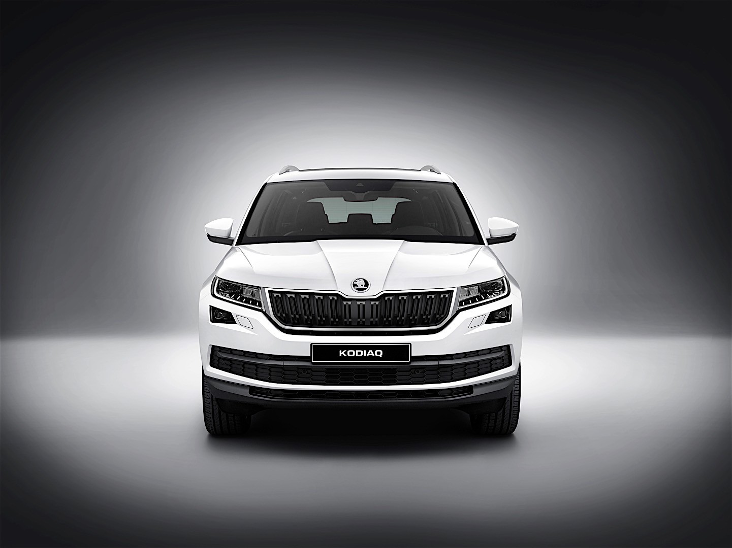 Skoda Kodiaq photo 14