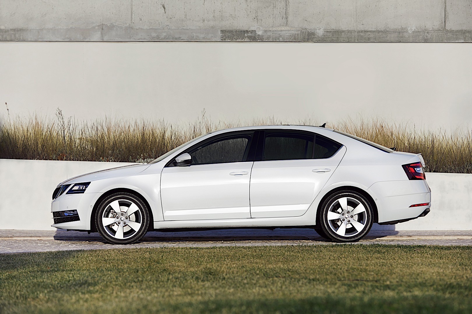 Skoda Octavia photo 5