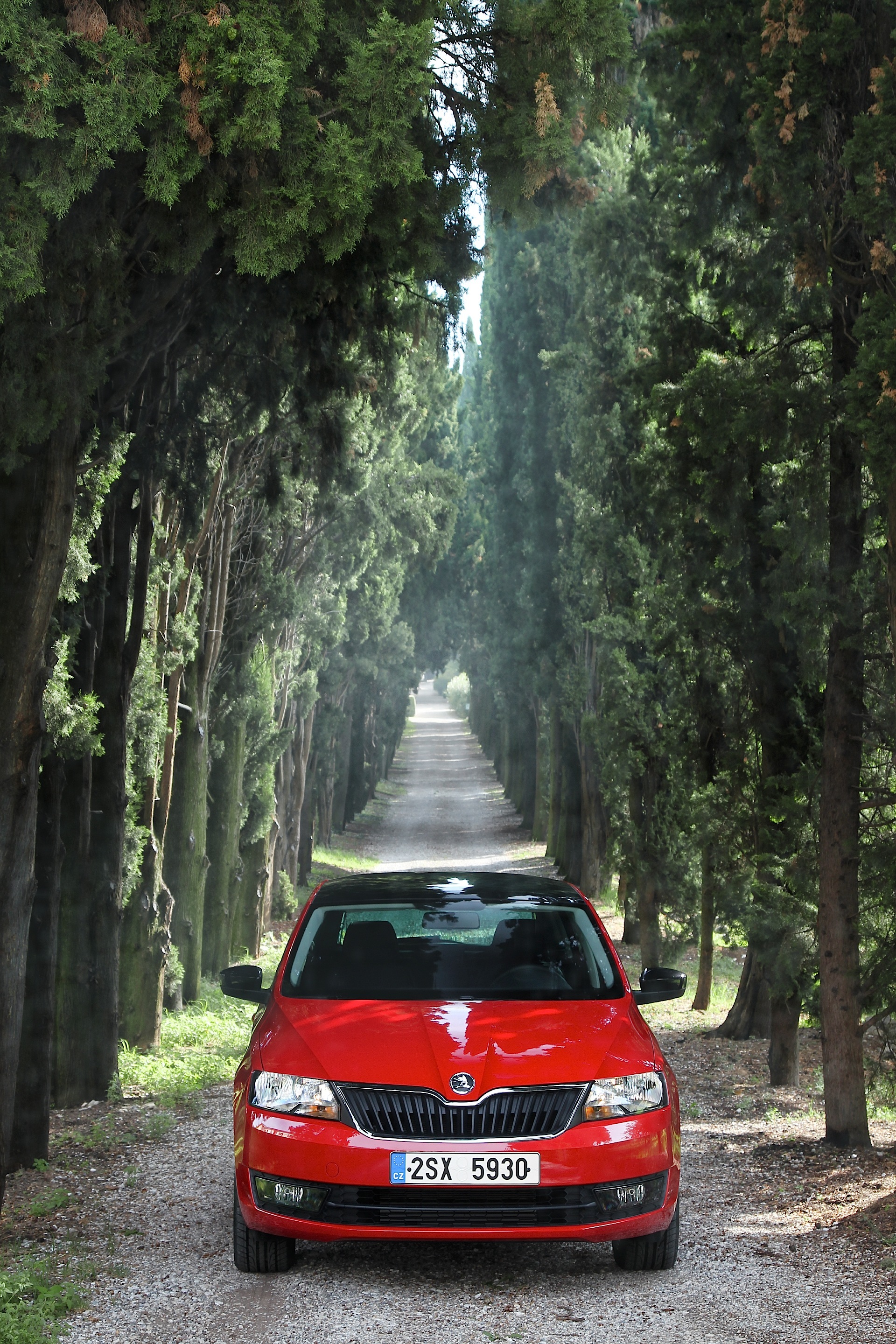 Skoda Rapid Spaceback photo 47