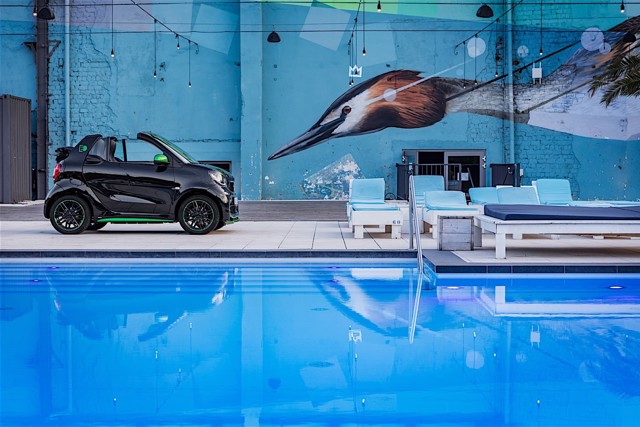 Smart Electric Drive photo 16