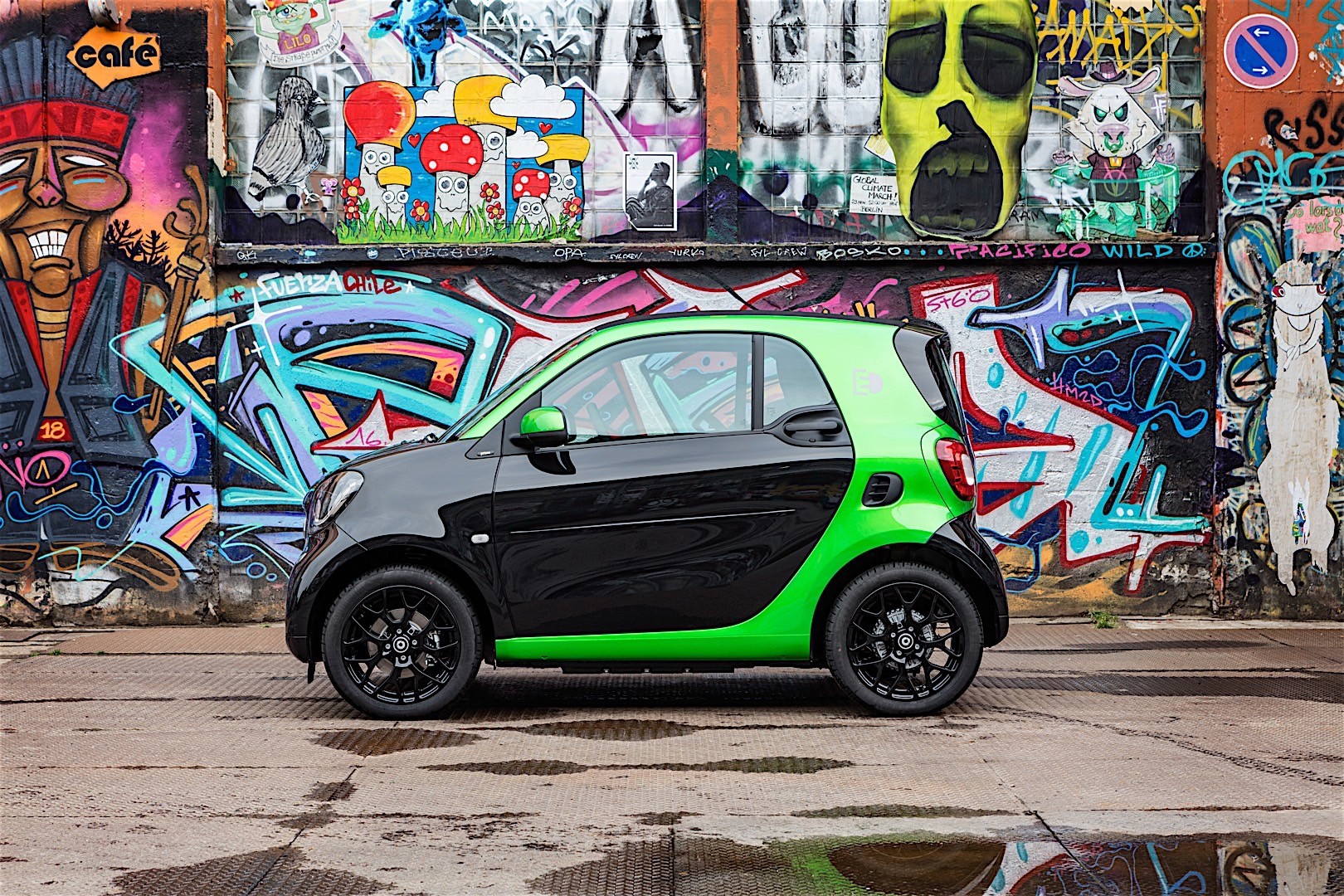 Smart Electric Drive photo 16