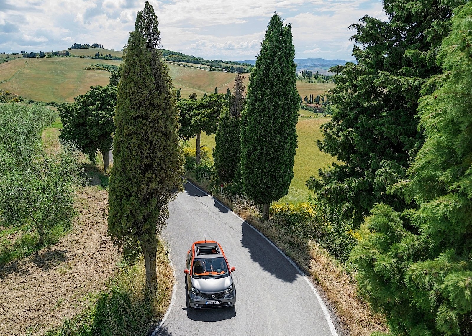 Smart Forfour photo 10