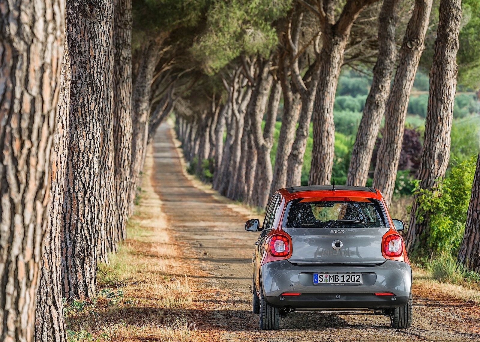 Smart Forfour photo 11