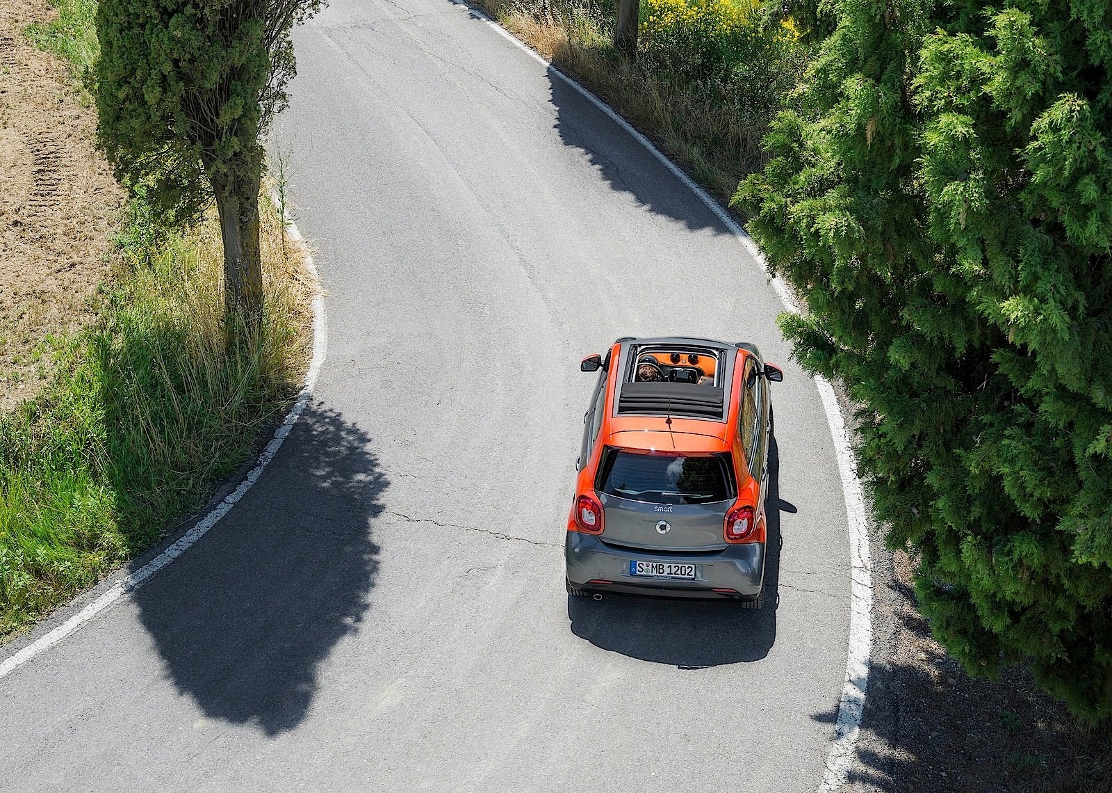 Smart Forfour photo 12