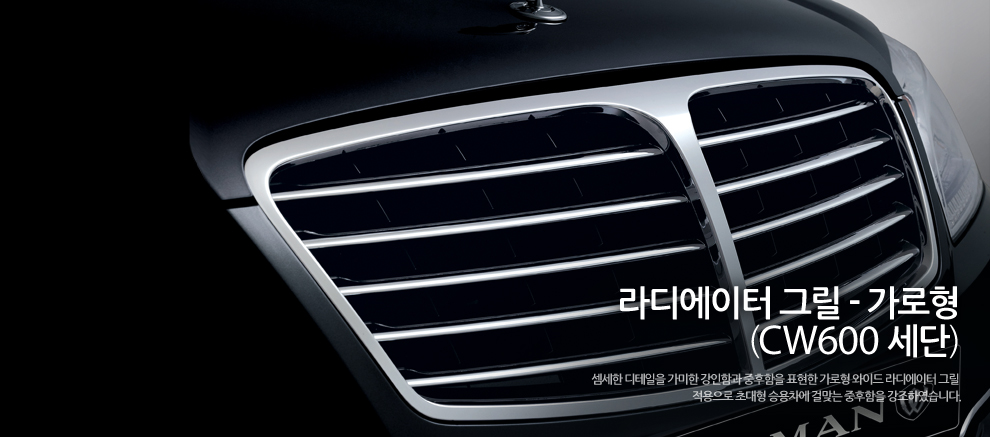 Ssangyong Chairman photo 12