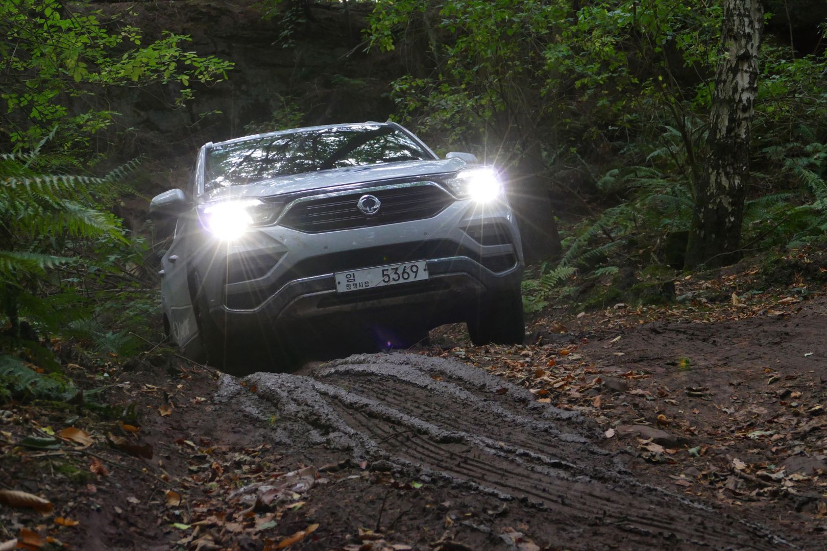 Ssangyong Rexton photo 23