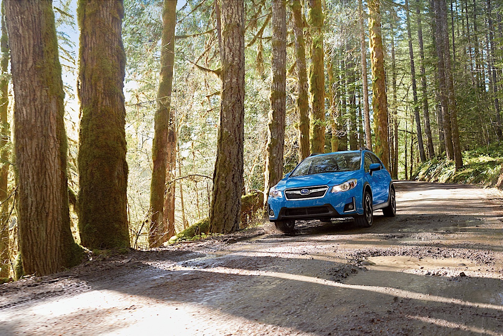 Subaru Crosstrek photo 3