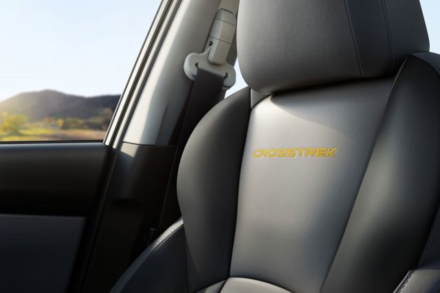 Subaru Crosstrek photo 131